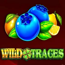 Wild Traces online slot from Amusnet Interactive – play at betcavecasinos-es.com